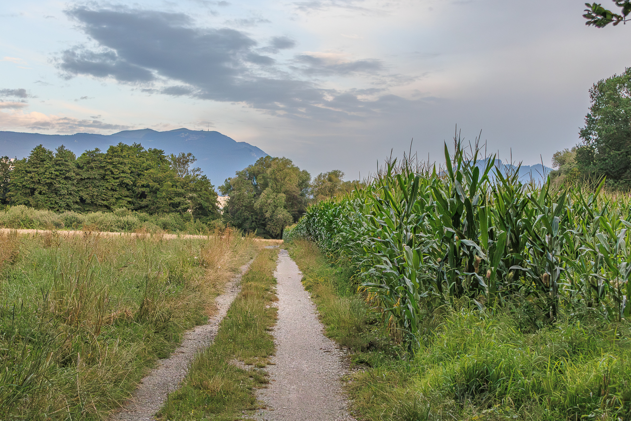 Auf Feldwegen geht es nach Villach hinunter