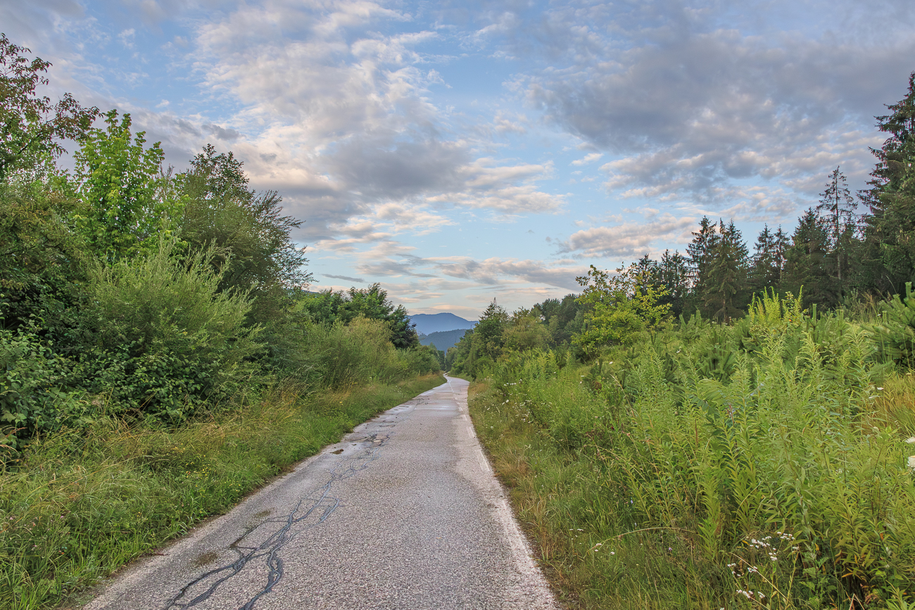 Auf dem Radweg sieht man noch die feuchten &Uuml;berreste des n&auml;chtlichen Gewitters