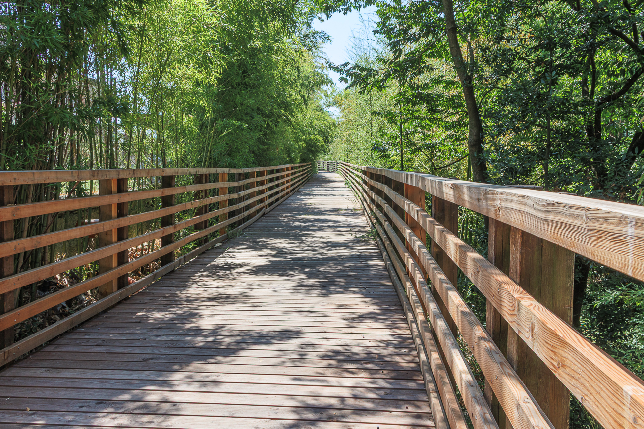 Hölzerne Brücke