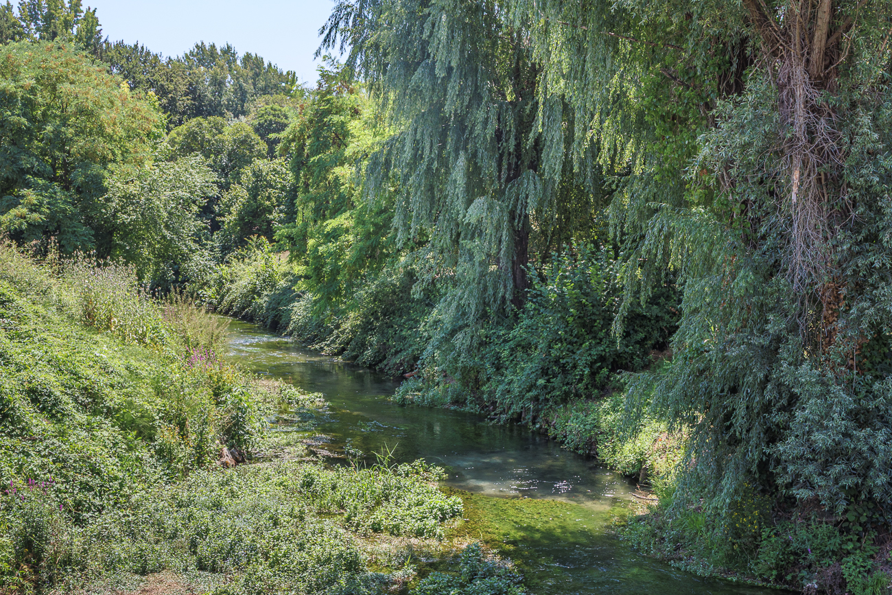 Zulauf zur dortigen Wassermühle