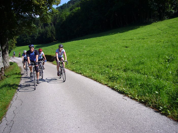 Noch sind alle fr&ouml;hlich