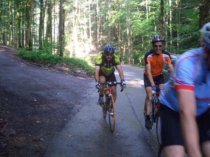 Durch den dunklen Wald