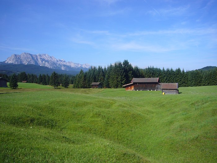 Durch die Buckelwiesen