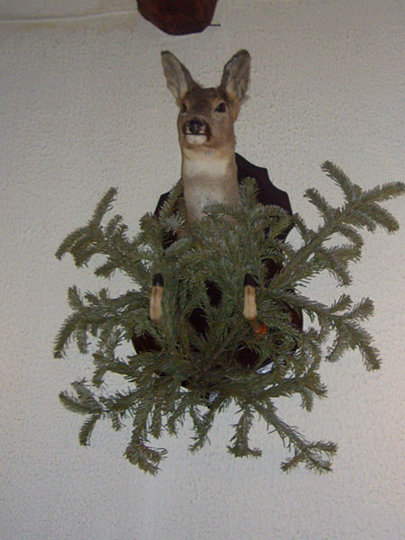 Das italienische Reh ;-)