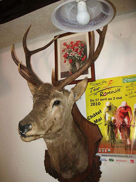 Der geh&ouml;rt nicht zu uns ...