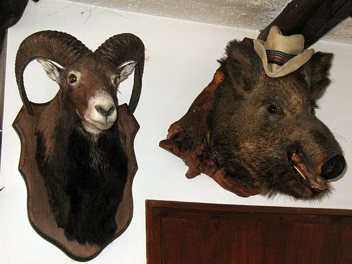 ... und die beiden auch nicht ;-)