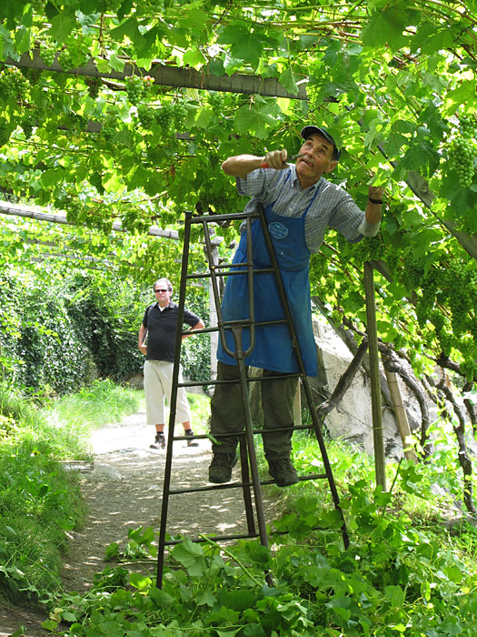 Muss ich da als Sicherheitsbeauftragter einschreiten? ;-)