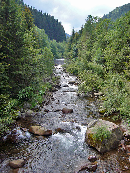 ... flie&szlig;t nach Norden