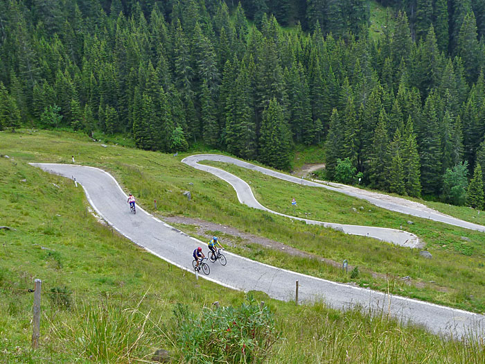 Kehrengeschl&auml;ngel
