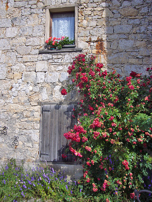 Ein letzter Blumengru&szlig; ...