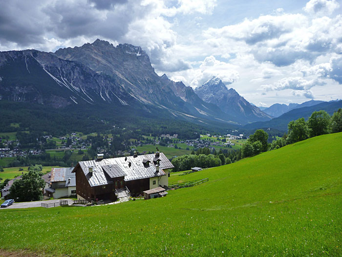 Die gr&uuml;ne Wiese ...