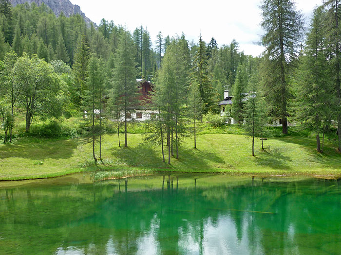 Es gr&uuml;nt so gr&uuml;n ...