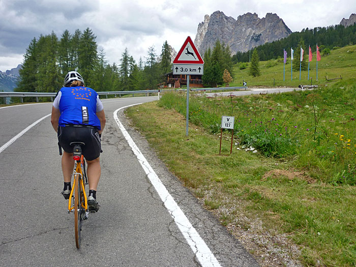 Wer ist hier der Bock ;-)