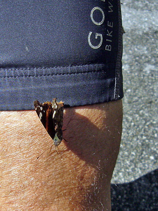 Blinder Passagier auf Sepps Bein