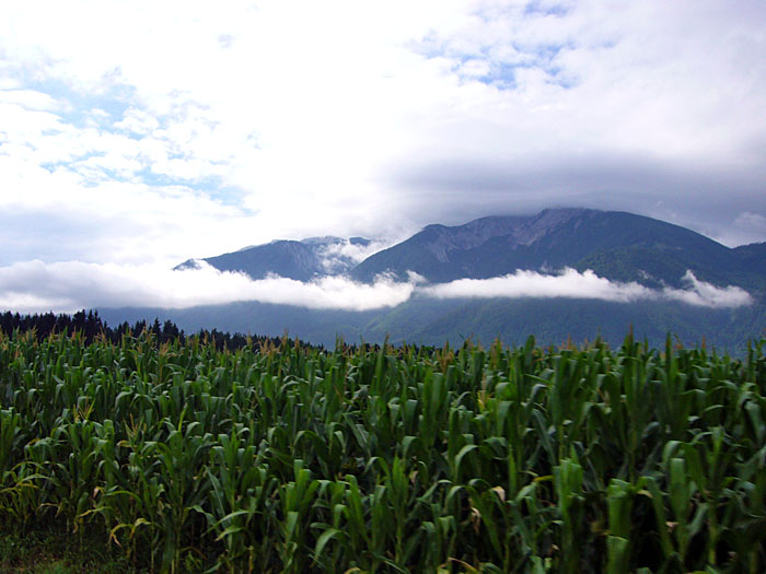 Doch gutes Wetter sieht anders aus