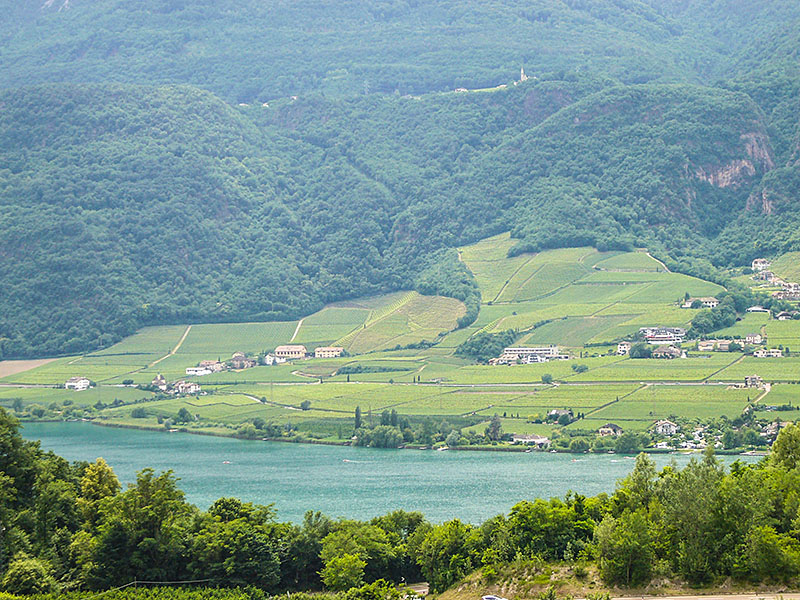 Der Kalterer See gr&uuml;&szlig;t herauf