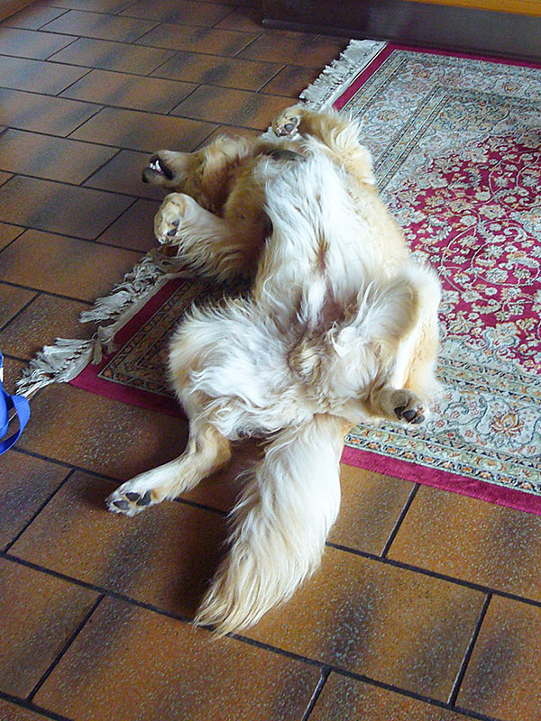 So w&uuml;rden wir uns gerne &ouml;fter ausruhen ;-)