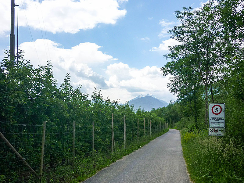 In der Ferne winkt die Ortlergruppe