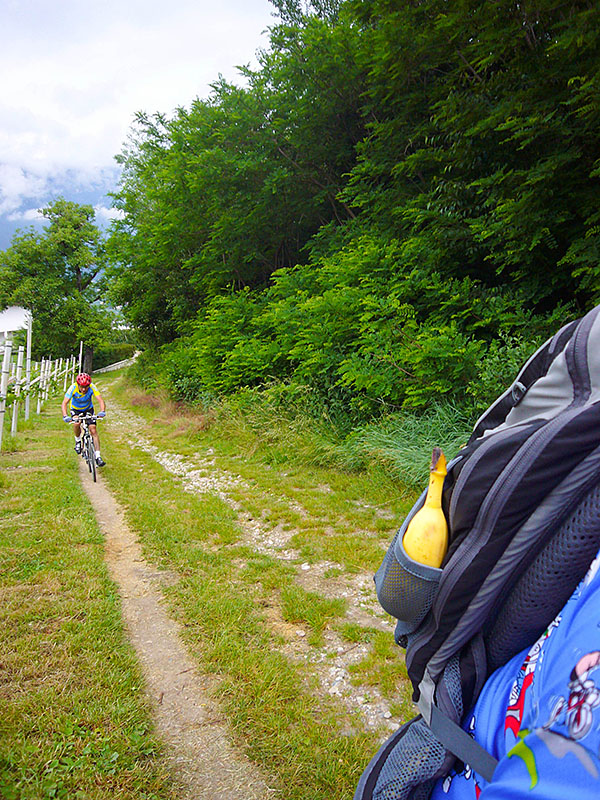 Nun geht es durch den Wald zu den Montiggler Seen