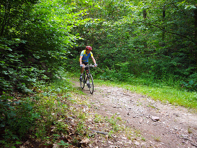 Wir st&uuml;rmen weiter durch den Wald ...