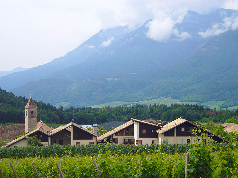 Nochmal Montiggel, im Hintergrund der wolkenverhangene Corno di Tres
