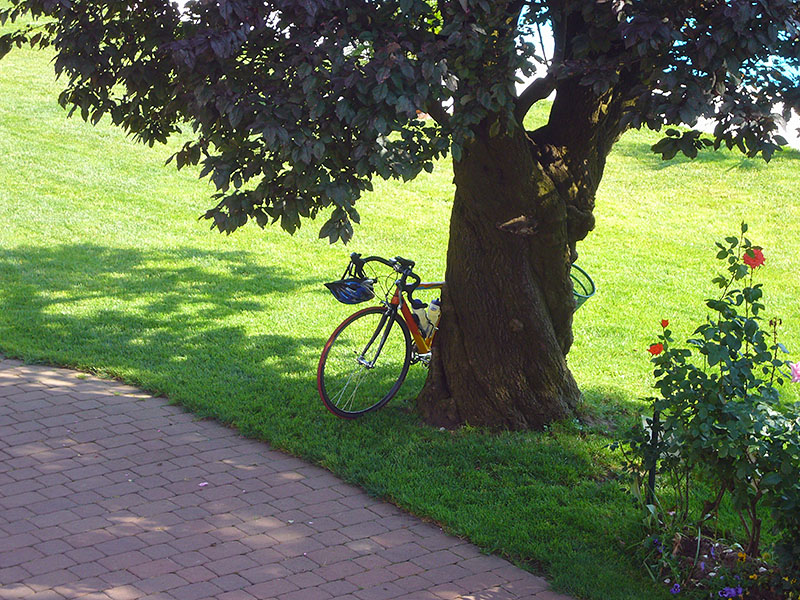Mein Rad wartet schon fr&uuml;h am Morgen auf mich