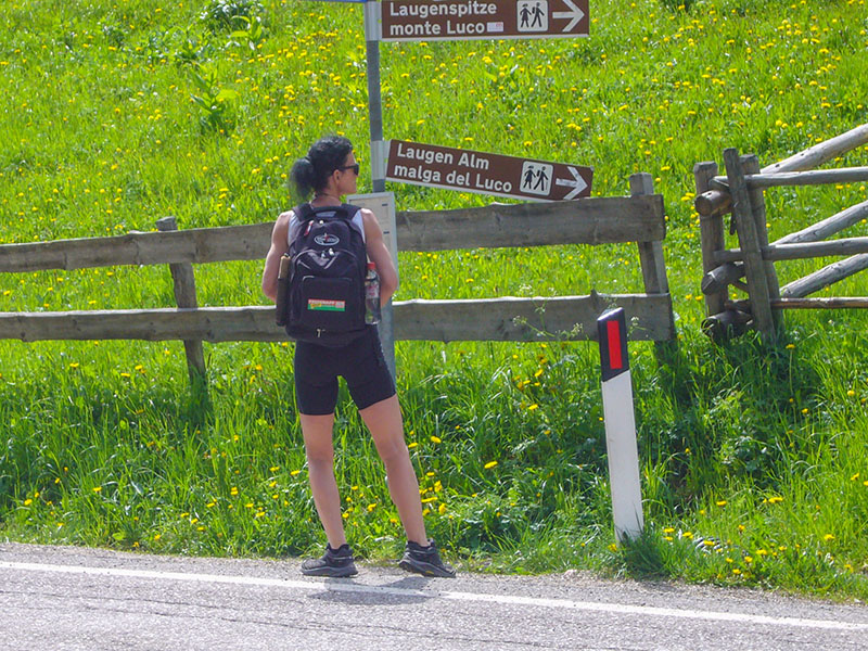 ... das Fahrwerk ;-)