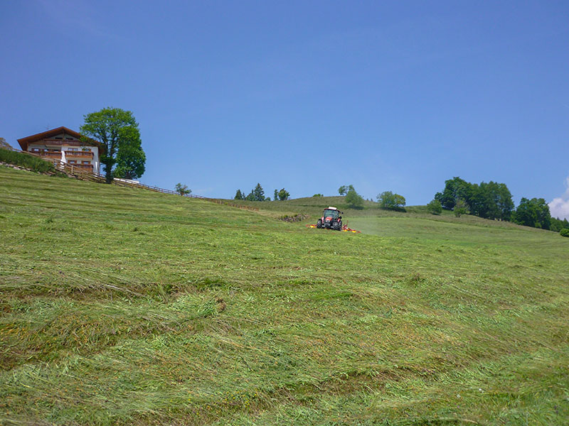 Wenn die Bauern m&auml;hen, bleibt das Wetter gut