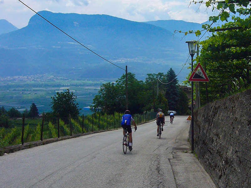 Nach dem wir so geschwitzt haben, k&ouml;nnen wir uns bei 14 % Gef&auml;lle ...