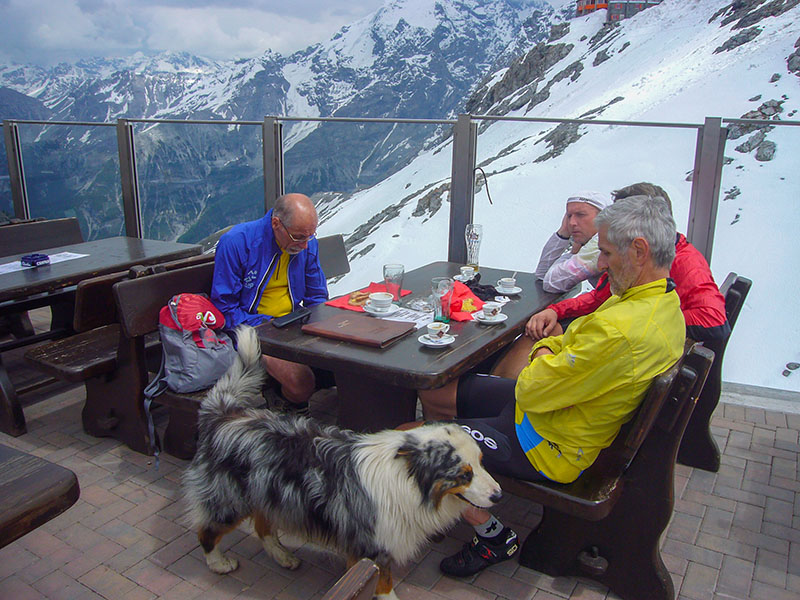 Der Passhund besucht uns, aber ohne Rumf&auml;sschen am Hals ;-)