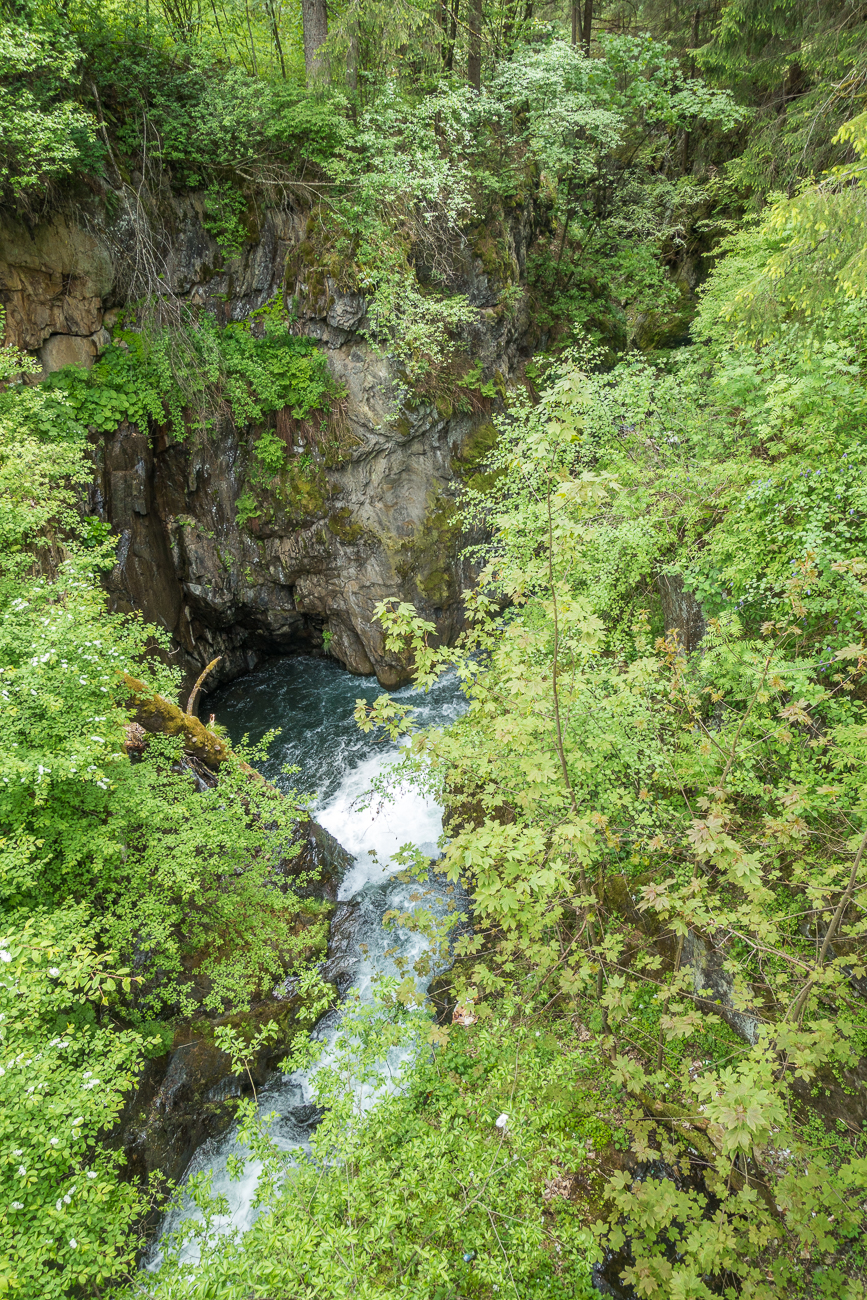 ... st&uuml;rzt sich in die Schlucht