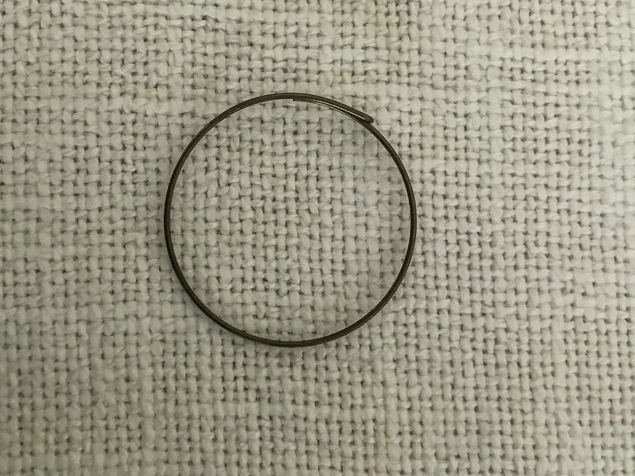 Das war der &Uuml;bert&auml;ter: Der Federring, der den Freilauf zusammenh&auml;lt