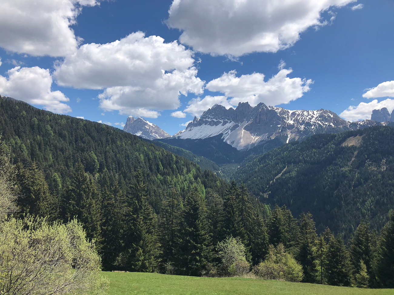 Bergblick[Bild: Reinhard] 