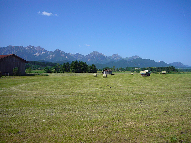 Bauern beim Heu einfahren