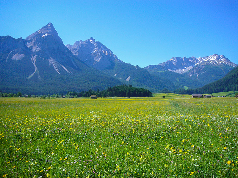 Ist das nicht traumhaft?