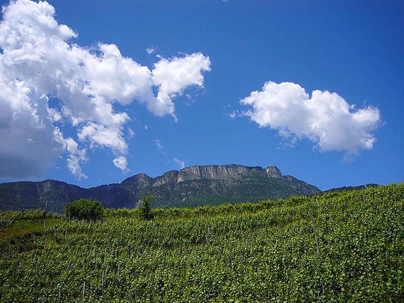 Der Penegal gr&uuml;&szlig;t ...