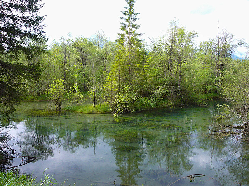 Fahrt durch ein sumpfiges Gel&auml;nde