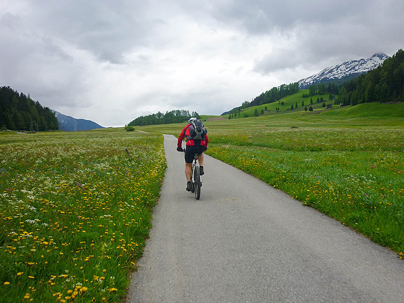 Durch bl&uuml;hende Wiesen ...
