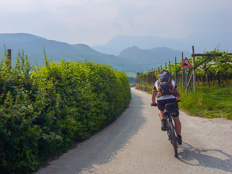 Nun st&uuml;rzen wir uns zum Kalterer See hinab