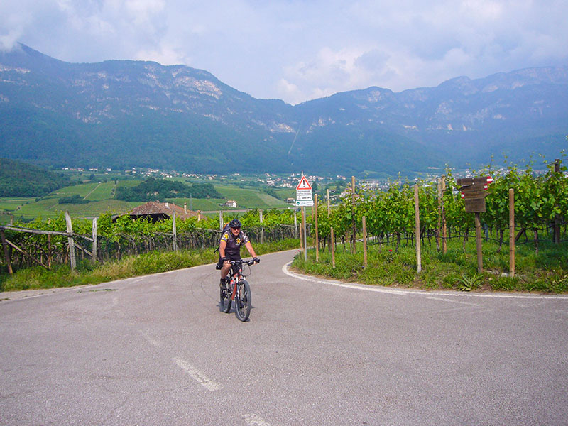 Im Hintergrund kann man noch Kaltern erkennen