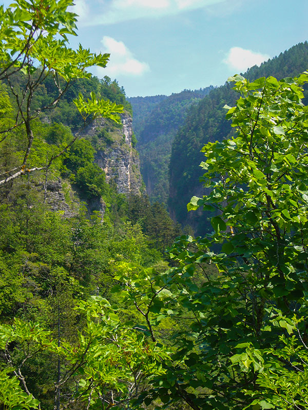 Schlucht des Torrente Novella