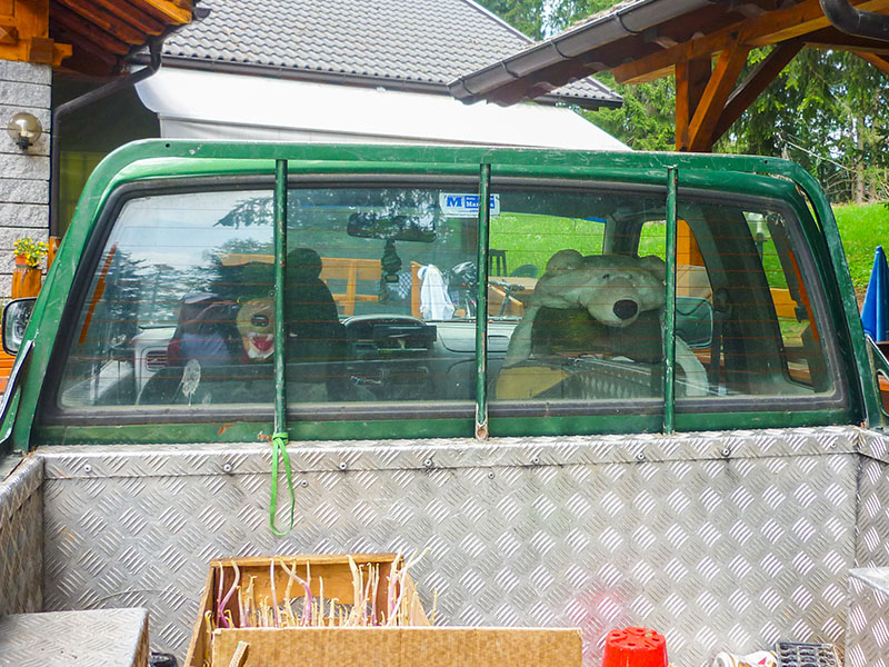 Alpen-B&auml;ren ;-)