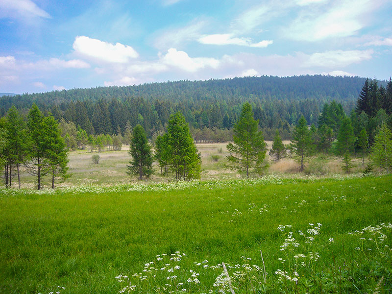 ... den See, den es laut Navi hier geben sollte
