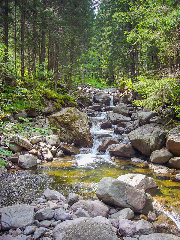 ... und vorbei an zahlreichen Fl&uuml;sschen