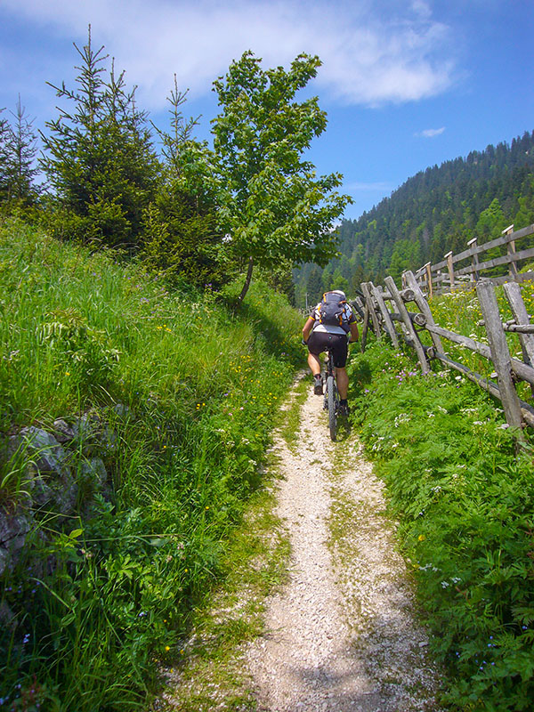 Holprige Fahrt auf dem Sch&ouml;pfungsweg