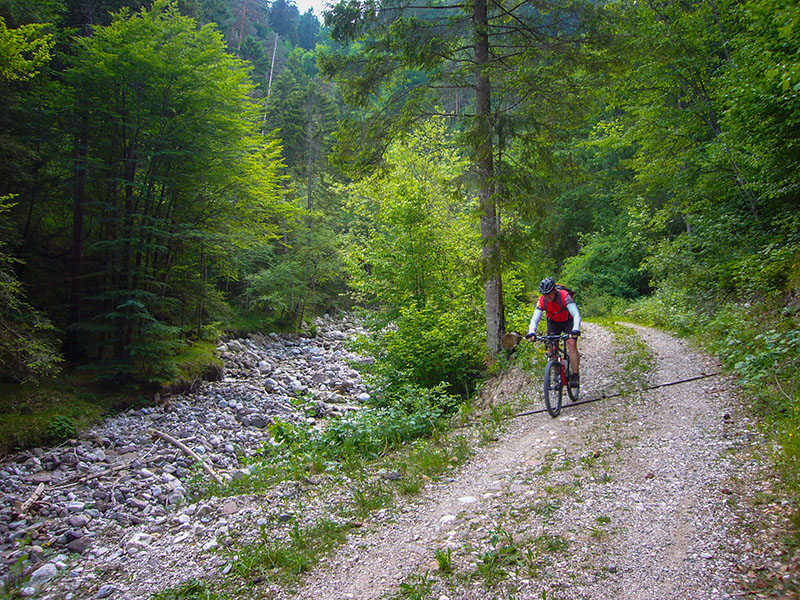 Auf grobem Untergrund ...