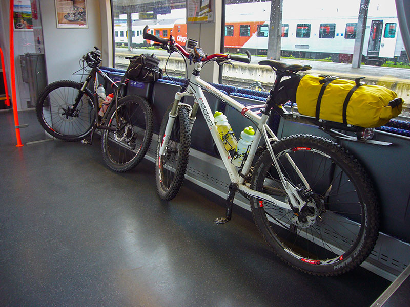 Die R&ouml;sser stehen angeschnallt im Wagen