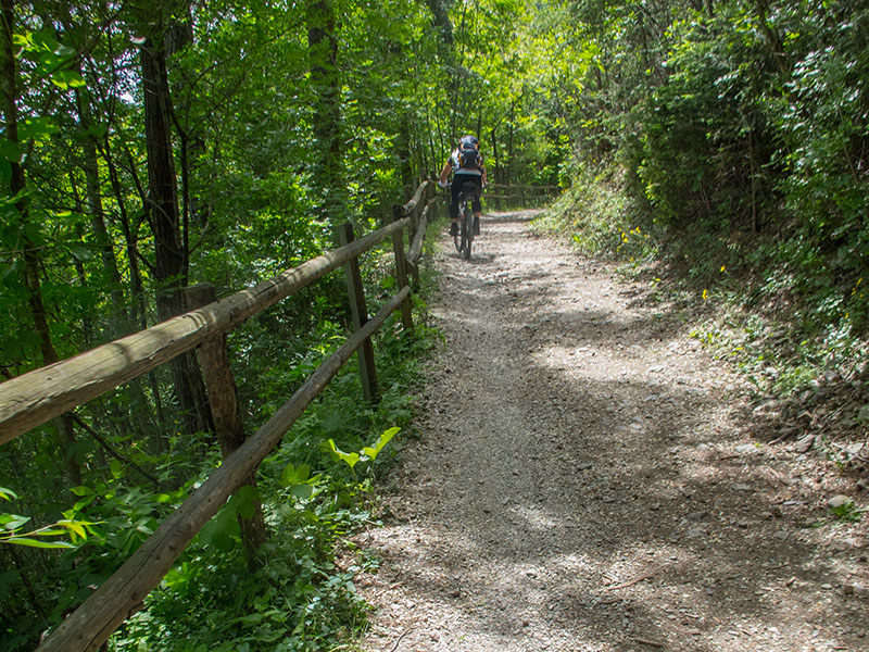 Auf Waldwegen arbeiten wir uns weiter