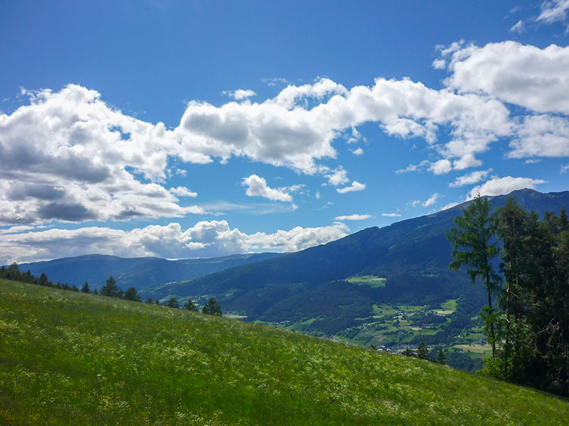 Blauer Himmel und gr&uuml;ne Wiesen erfreuen das Auge