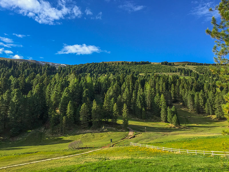 Links die bewaldeten H&uuml;gel ...